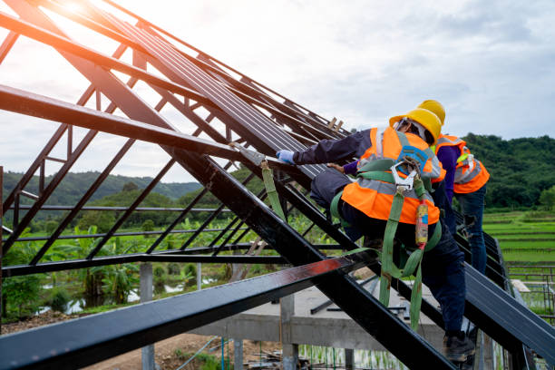 Best Metal Roofing Contractor  in Solomon, KS