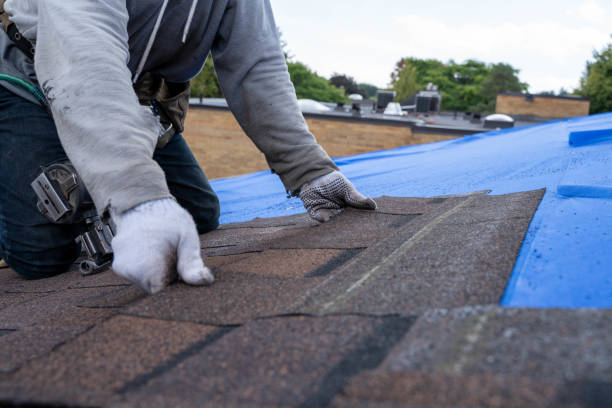 Best Roof Repair Services  in Solomon, KS