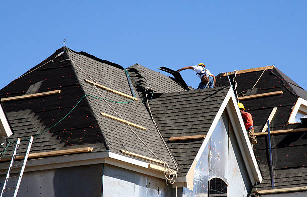 Best Metal Roofing Contractor  in Solomon, KS