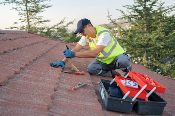 Best Residential Roofing Contractor  in Solomon, KS