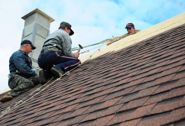 Best Best Roofing Contractors  in Solomon, KS